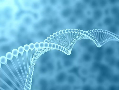 衣服與人類進(jìn)化 生物技術(shù)視角下的重新審視