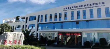 2019年云南十大名品出爐 云南軟件開發行業蓬勃發展